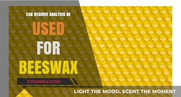 Exploring Residue Analysis Techniques for Beeswax Authentication and Quality