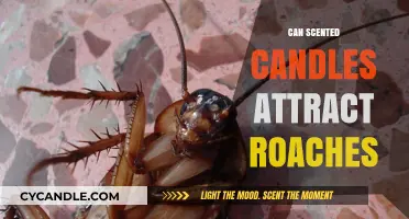 Do Scented Candles Attract Roaches? Uncovering the Truth