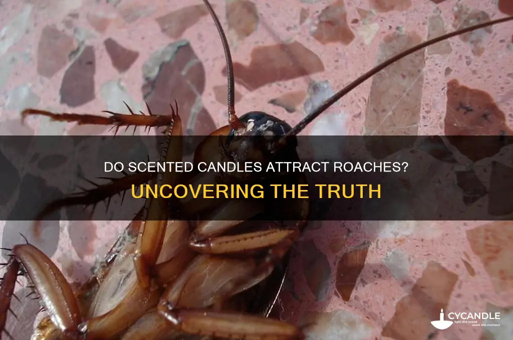 can scented candles attract roaches