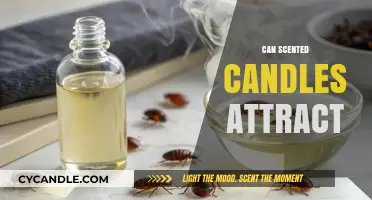 Can Scented Candles Attract Pests or Enhance Your Home Ambiance?