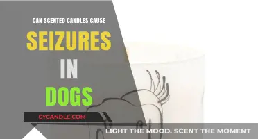 Scented Candles and Canine Seizures: Uncovering the Hidden Risks