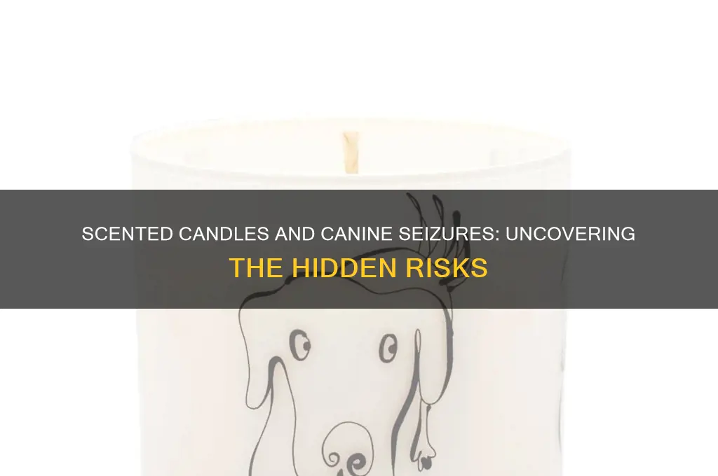 can scented candles cause seizures in dogs