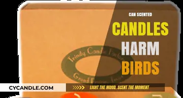 Are Scented Candles Safe for Birds? Potential Risks Explained