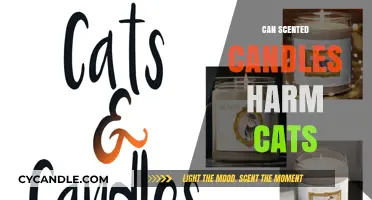 Are Scented Candles Safe for Cats? Potential Risks Explained