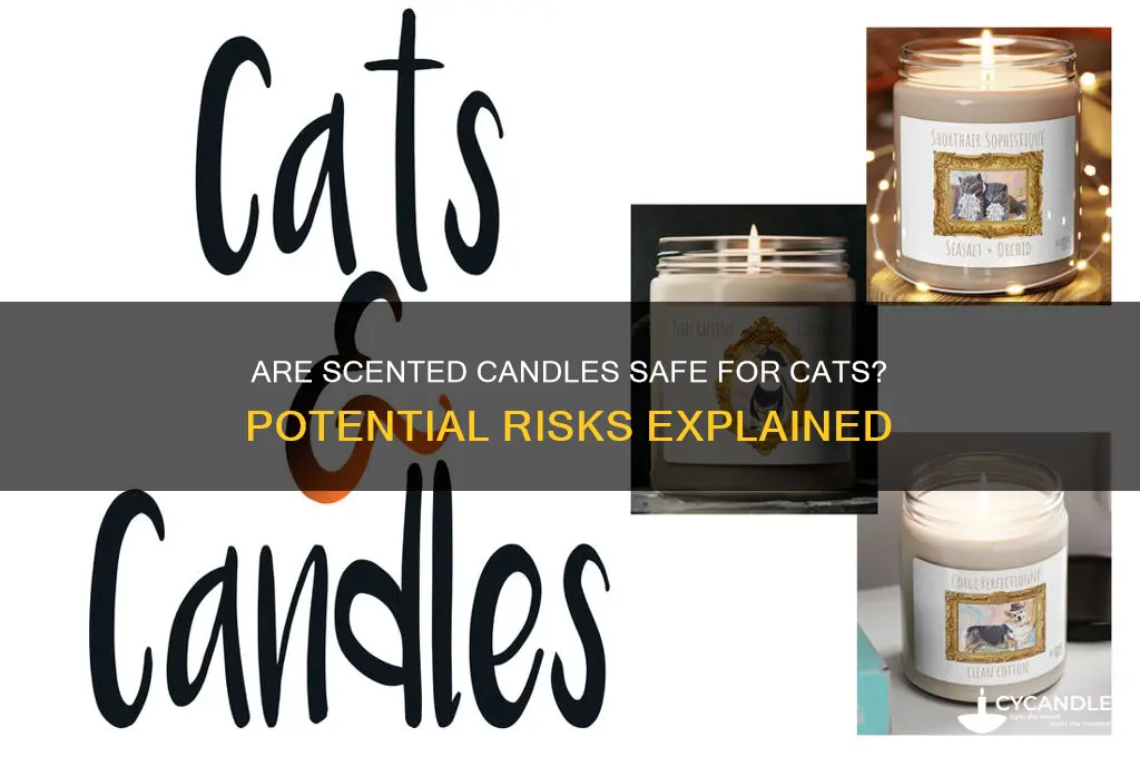 can scented candles harm cats