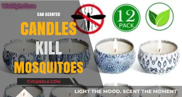 Scented Candles vs. Mosquitoes: Do They Really Keep Bugs Away?