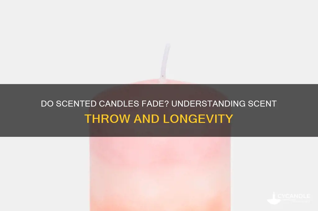 can scented candles lose their scent
