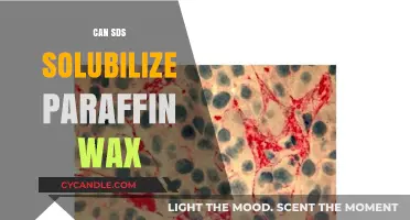 Can SDS Effectively Solubilize Paraffin Wax? A Detailed Analysis