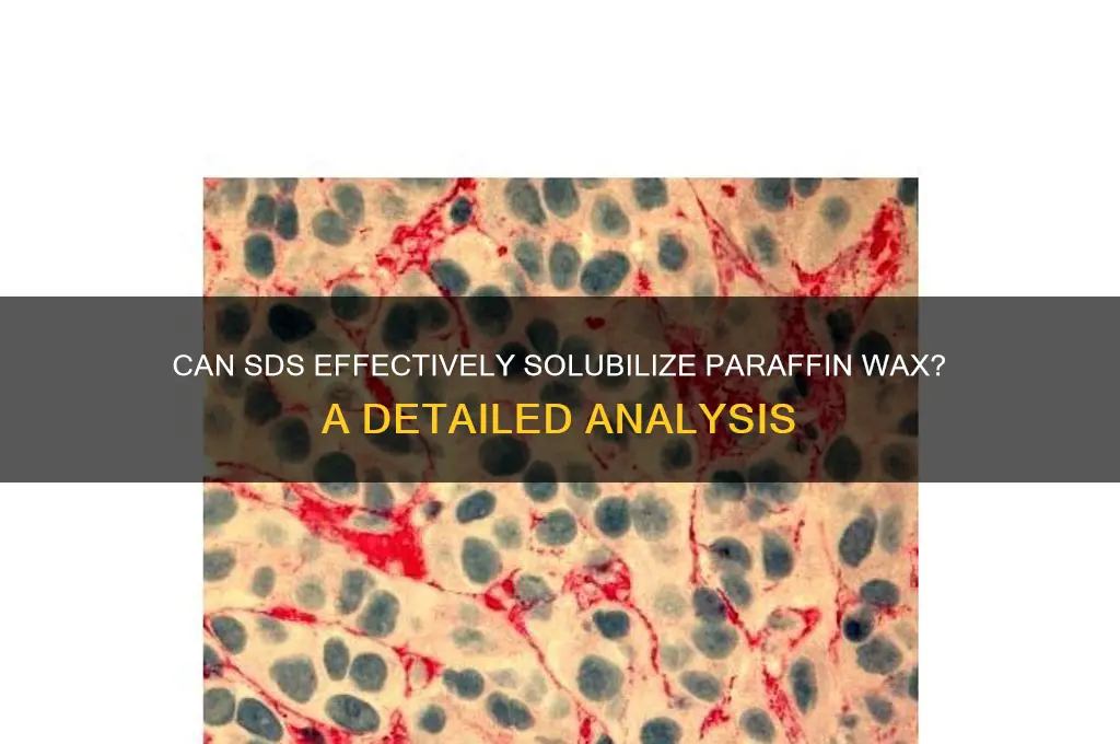can sds solubilize paraffin wax