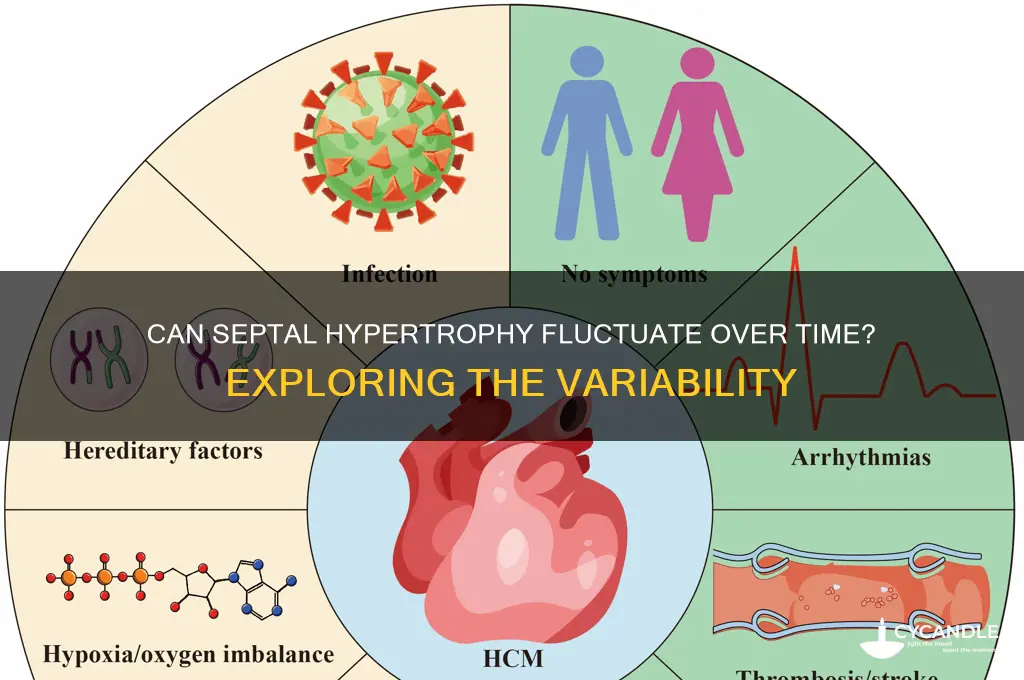 can septal hypertrophy wax and wane