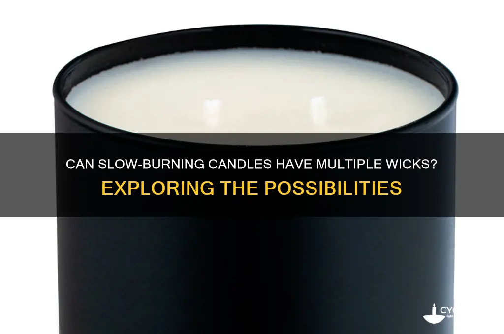can slow burning candle havve more than one wick