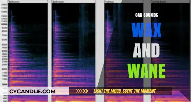 Do Sounds Fluctuate? Exploring the Phenomenon of Waxing and Waning Audio