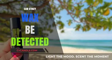 Can Stiiizy Wax Be Detected in Drug Tests? Facts Revealed