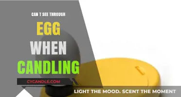 Why Your Egg Appears Opaque During Candling: Troubleshooting Tips
