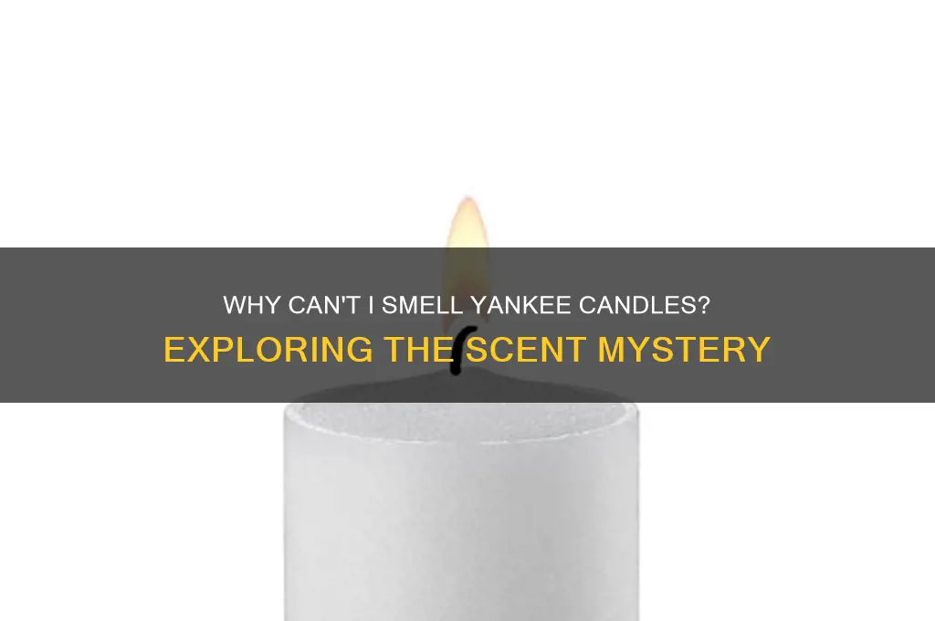 can t smell yankee candles