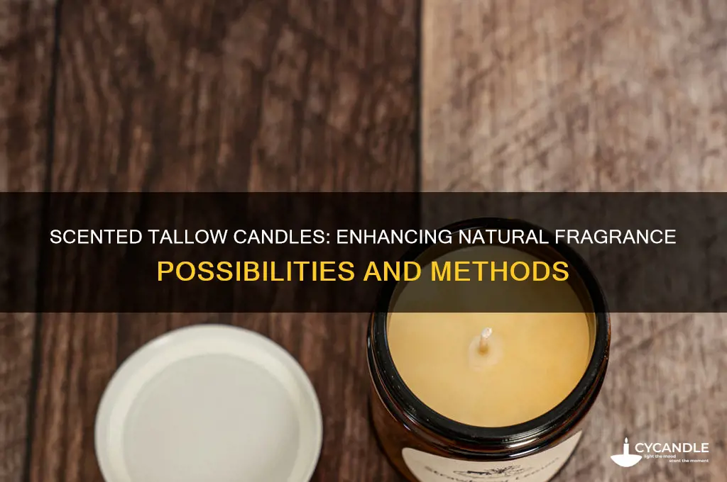 can tallow candles be scented