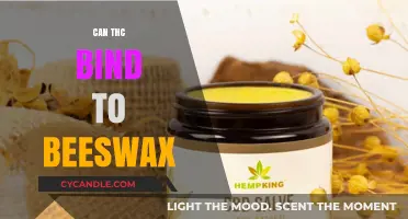 Can THC Bind to Beeswax? Exploring the Science Behind It