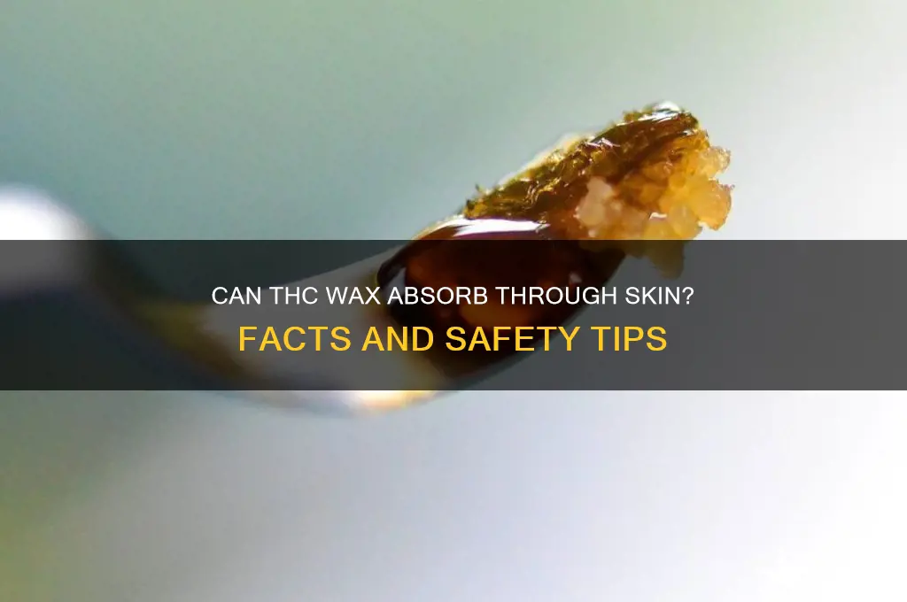 can thc wax absorb through skin
