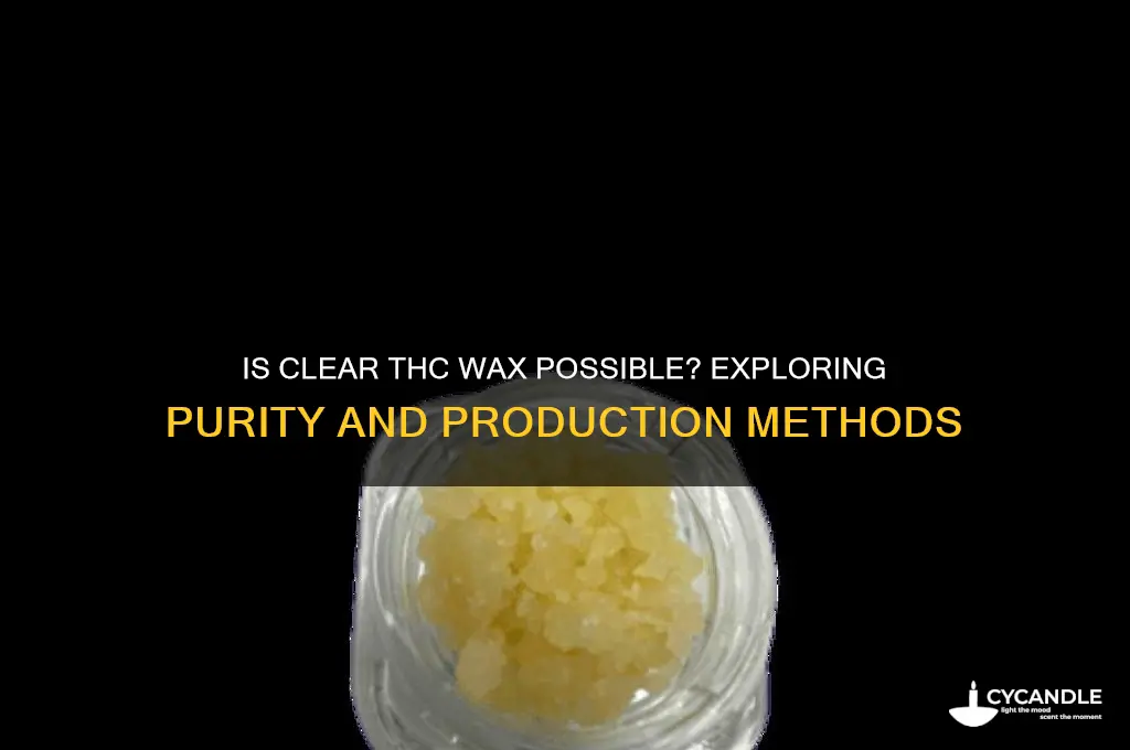 can thc wax be clear