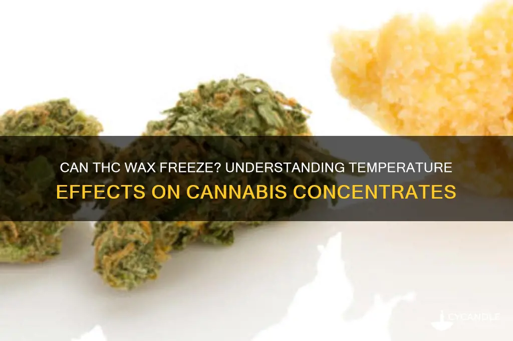 can thc wax freeze