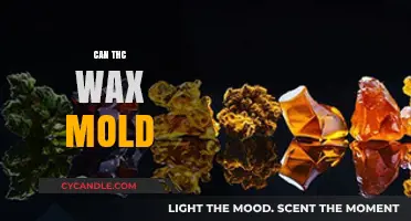 Can THC Wax Mold? Understanding Risks and Proper Storage Tips