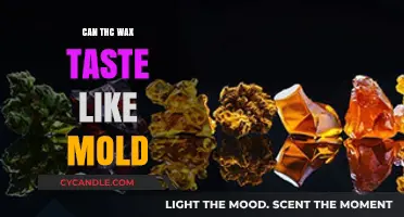Does THC Wax Taste Like Mold? Uncovering the Truth and Risks