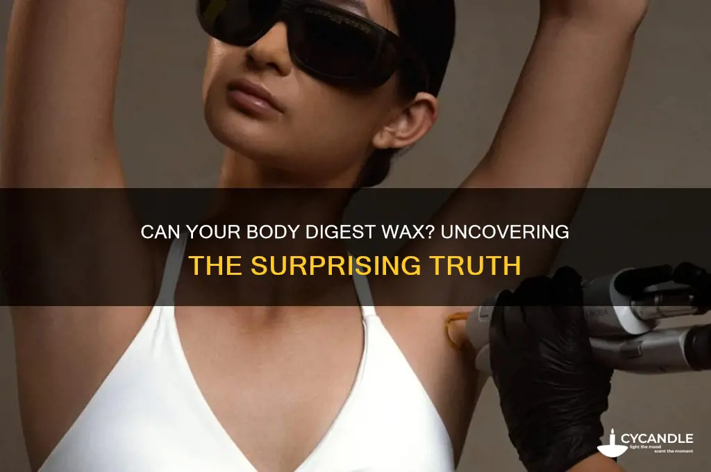 can the body digest wax