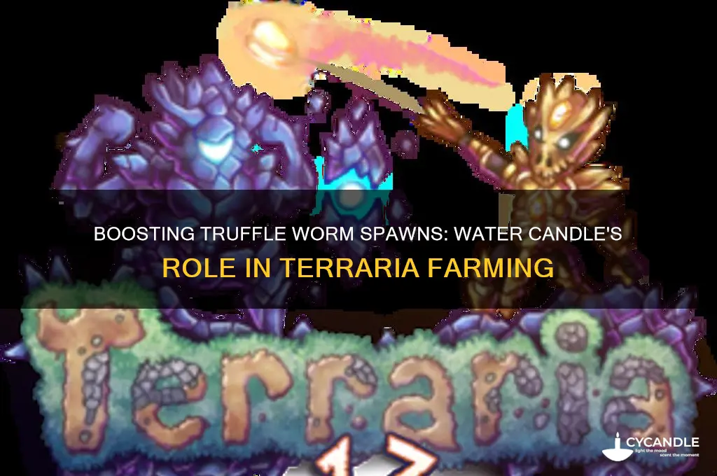 can the water candle increase truffle worm spawn rate
