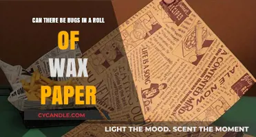 Unraveling the Mystery: Bugs in Wax Paper Rolls?