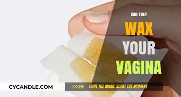 Vagina Waxing: What You Need to Know Before Booking an Appointment