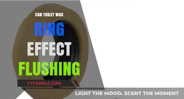 How a Worn Toilet Wax Ring Impacts Flushing Power and Efficiency