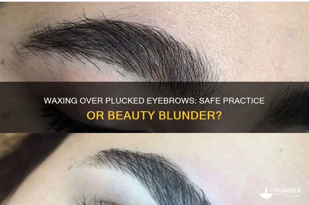 can tou wax over pluckee wyebrows
