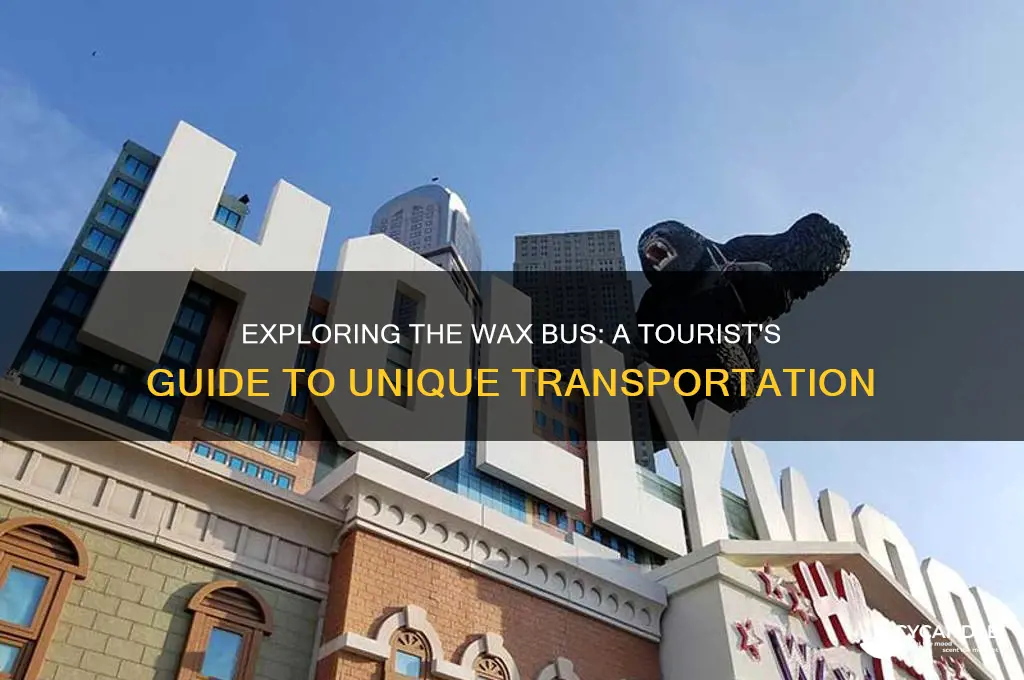 can tourists use the wax bus