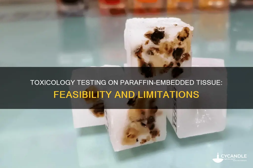 can toxicology be done on paraffin embedded tissue