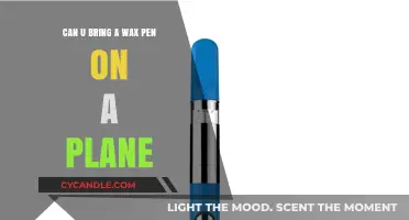 Can You Bring a Wax Pen on a Plane? TSA Rules Explained