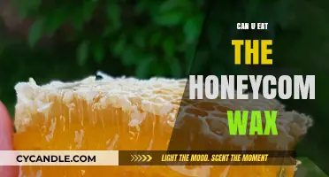 Can You Eat Honeycomb Wax? Surprising Facts and Benefits Revealed