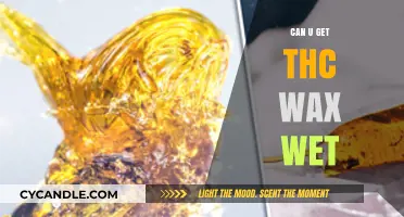Can THC Wax Get Wet? Exploring Moisture and Cannabis Concentrates