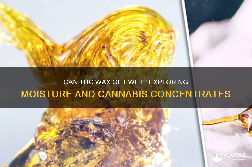 can u get thc wax wet