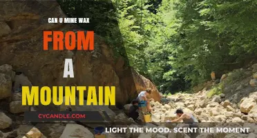 Mining Wax from Mountains: Myth, Reality, or Unlikely Possibility?