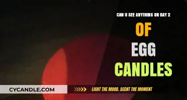 Day 2 Egg Candles: What’s Visible Inside? A Quick Look