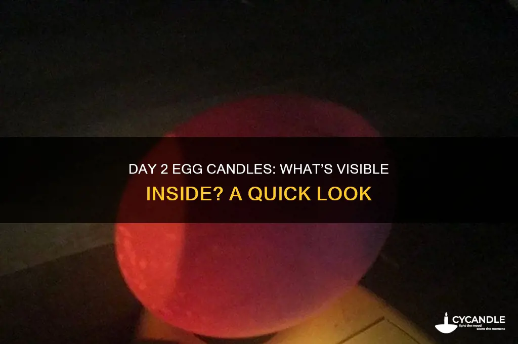 can u see anything on day 2 of egg candles
