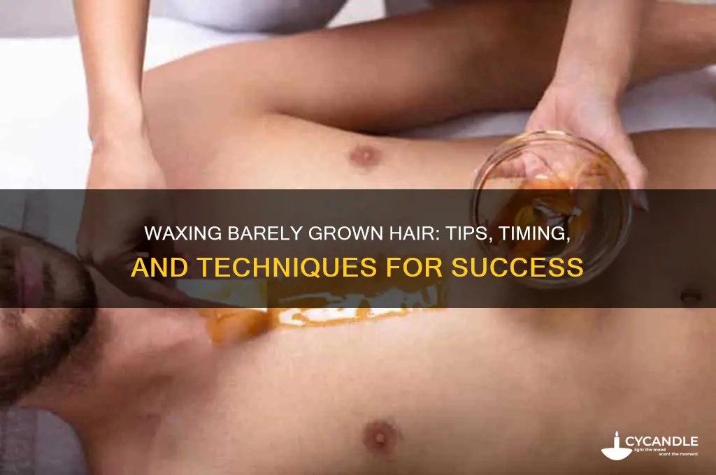 can u wax barely grown hair