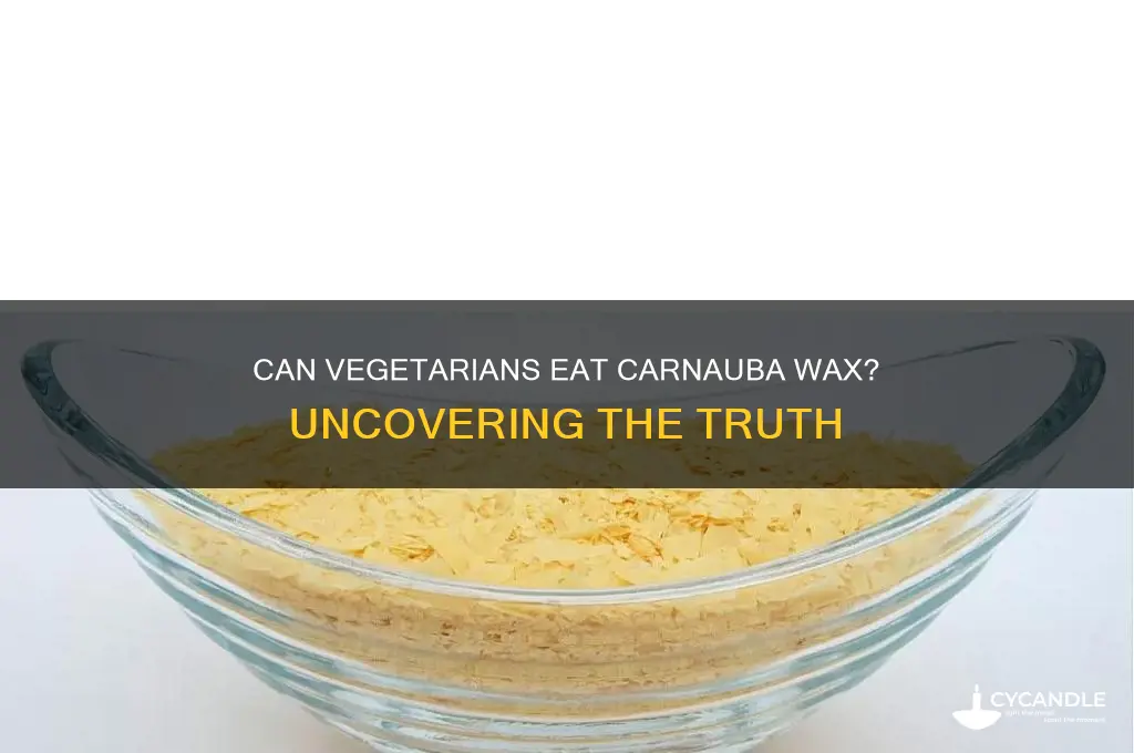 can vegetarians eat carnauba wax
