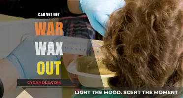Can Vets Safely Remove War Wax from Ears? Expert Insights