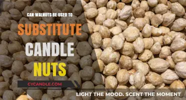 Walnuts as Candle Nut Substitute: A Tasty Alternative?