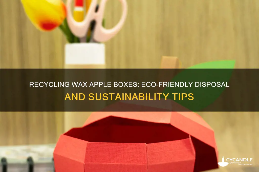can wax apple boxes be recycled