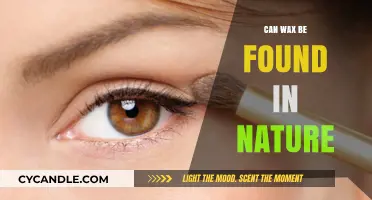 Exploring Nature's Waxy Wonders: Where and How Wax Occurs Naturally