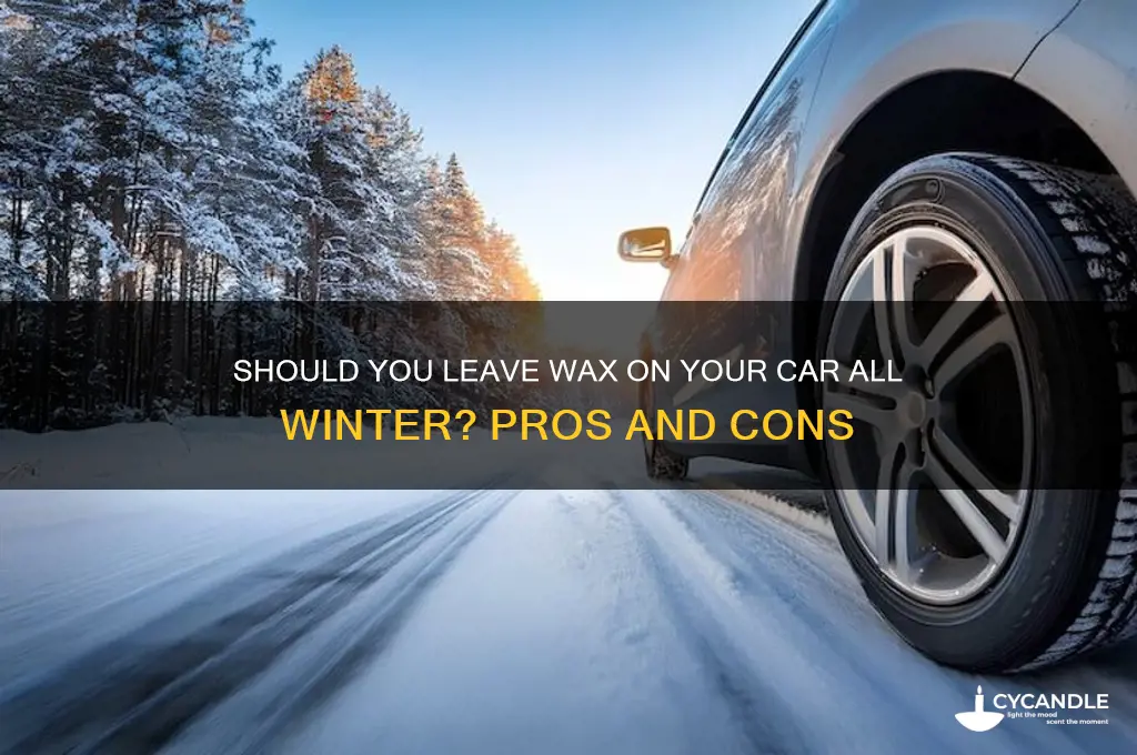 can wax be left on all winter