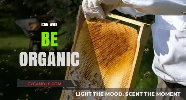 Is Wax Organic? Uncovering the Truth About Natural Wax Sources