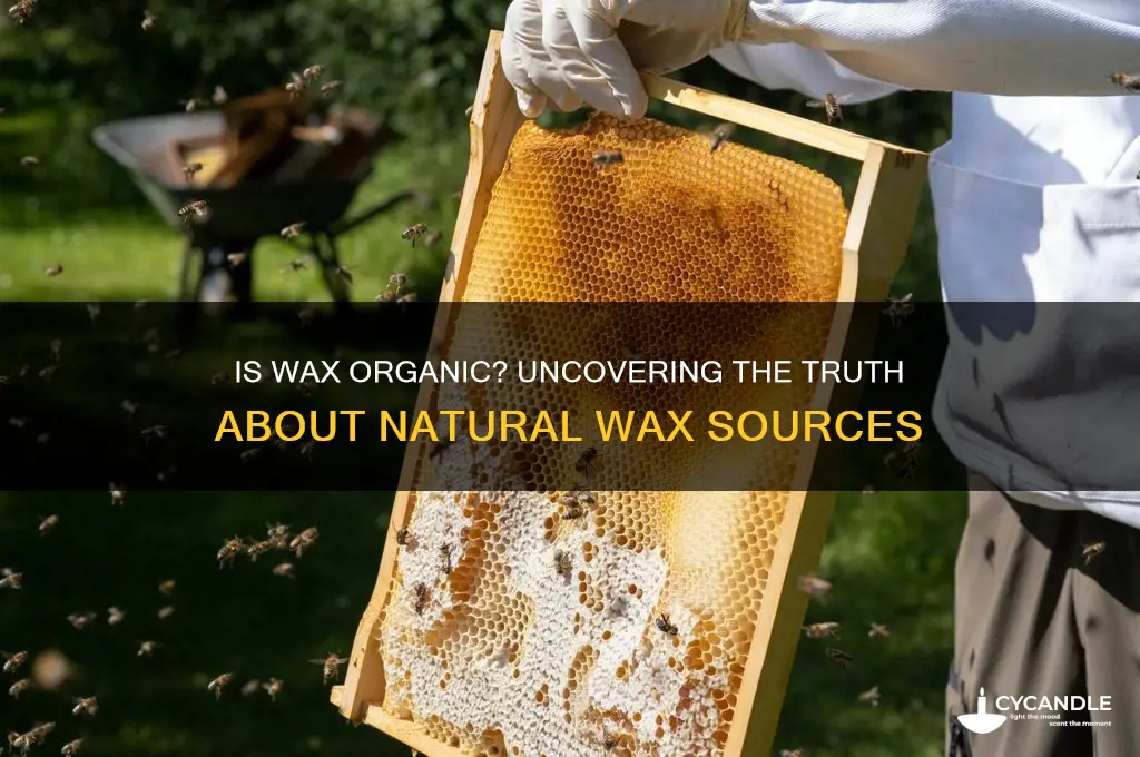 can wax be organic